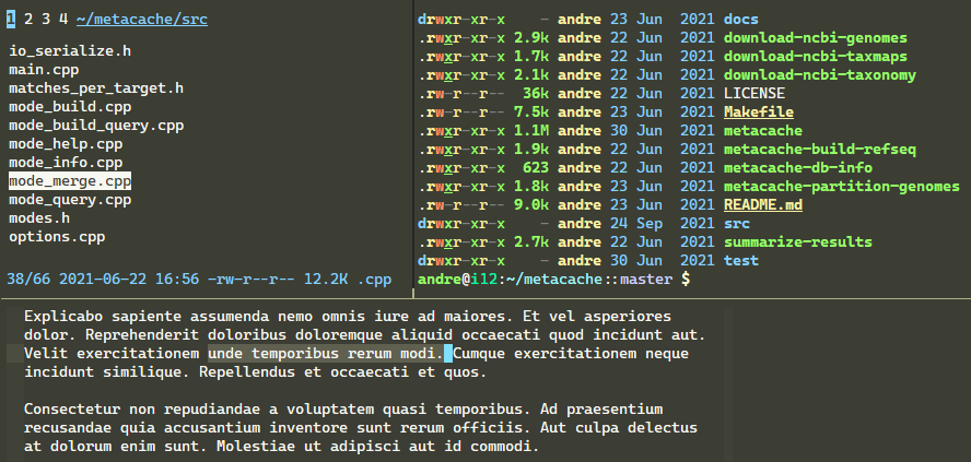 tmux screenshot